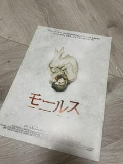 映画 モールス プレス 外国映画 パンフレットのサムネイル