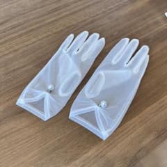 【26日9時までタイムセール中♡10%OFF】ウェディンググローブ　シースルーのサムネイル