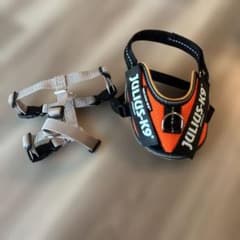 犬ハーネス2セット（JULIUS-K9 2XS、BowNyaCauda XXS）のサムネイル