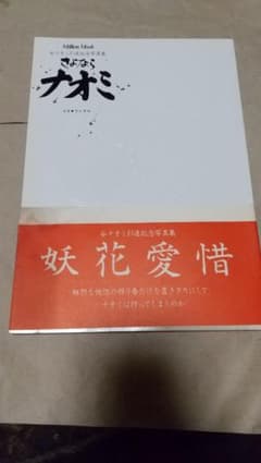 谷ナオミ 引退記念写真集のサムネイル