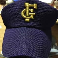 高校野球 試合用帽子のサムネイル