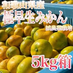 和歌山県産 極早生みかん【約5kg】減農薬栽培のサムネイル