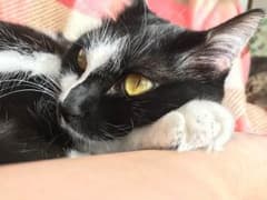 naru33さん専用のサムネイル