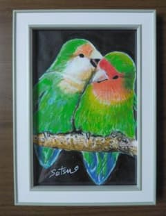 1000円→800円 コザクラインコ 手描き原画 （フレーム付き） - 4