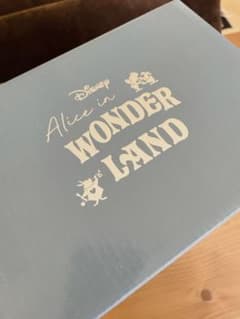 ディズニー　ティーフォーワンのサムネイル
