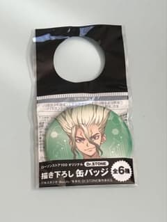 Dr.STONE ローソンストア100　スタンリー　　描き下ろし缶バッジ　40枚 Dr.STONE ローソンストア100 スタンリー 描き下ろし缶バッジ 40枚