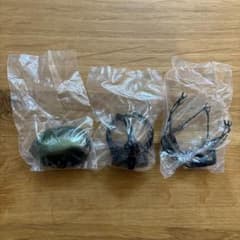 いきもの大図鑑 かぶとむし 06 アトラスオオカブト ガチャのサムネイル