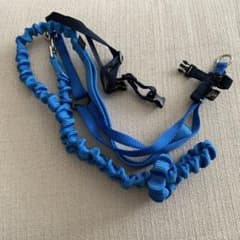 Mブルー　PetSafe イージーウォーク 猫用ハーネス&バンジーリードのサムネイル