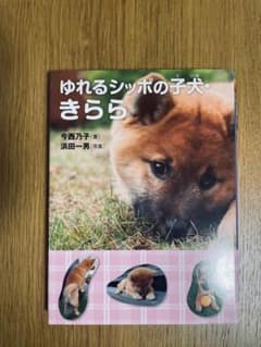 ゆれるシッポの子犬・きらら 今西乃子のサムネイル