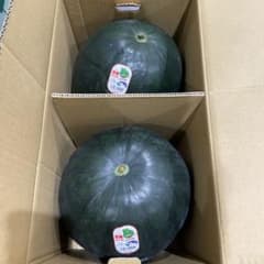 437千葉県産富里大玉スイカブラックジャックC品3Lサイズ1箱2玉入り 