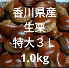 香川県産 生栗 特大３Ｌ 1.0kgのサムネイル