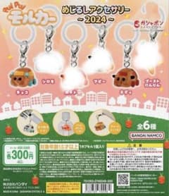 Pui Pui 몰카 메지루시 액세서리 2024 가챠 가챠