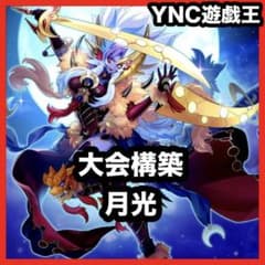 遊戯王 月光 ムーンライト デッキ 本格構築 月光舞獅子姫 月光舞獅子神姫 Amazon.co.jp: 月光デッキ ムーンライトデッキ 月光融合 月光舞剣虎姫