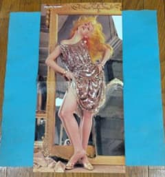 【美品良品】LP＆12 シンディ・ローパー セット /帯／シュリンク残／ポスター ポスター シンディ・ローパー - メルカリ