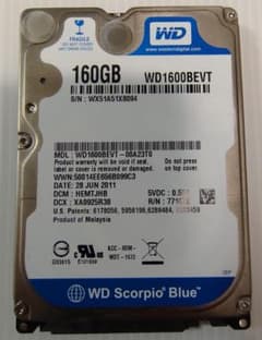 WD Scorpio Blue 160GB (2.5インチ) 中古品 3個セットのサムネイル