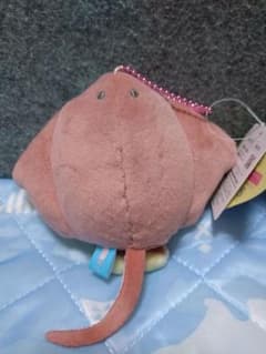 카와 에이 LMC 아카 페에 약 13cm