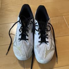 MIZUNO テニスシューズ WAVE EXCEED LIGHT2 オムニ用4Eのサムネイル