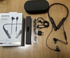 SONY WI-1000XM2 ワイヤレスイヤフォン 破損ありのサムネイル