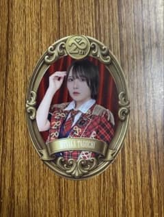 田口愛佳 AKB48 武道館 チャンスくじステッカー - メルカリ