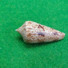 大ちゃん様 リクエスト 5点 まとめ商品のサムネイル