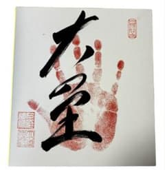 大相撲☆横綱 大の里☆肉筆サイン手形 - メルカリ