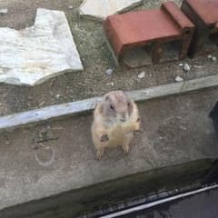 いとうひろむ専用のサムネイル