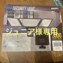 ジュニア様専用　NEWGALEのサムネイル