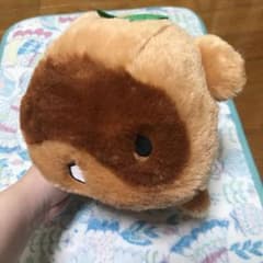 ぬいぐるみ 渡狸卍里２つセットのサムネイル