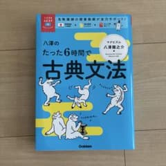 八澤のたった6時間で古典文法のサムネイル