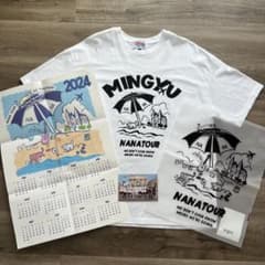 NANATOUR ナナツアー ミンギュ Tシャツ サイズL セブチ - メルカリ