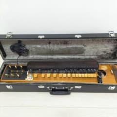 破格の安さ！匿名配送！】 大正琴 和楽器 ハードケース付 電音 牙