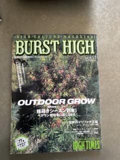 BURST HIGH vol.11 雑誌のサムネイル