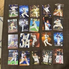 プロ野球タップスカードファイル付きのサムネイル