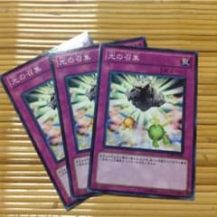 光の召集のサムネイル