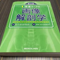 若葉マークの画像解剖学のサムネイル
