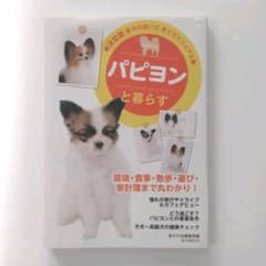 パピヨンと暮らすのサムネイル