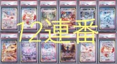 【PSA10】12連番　テラスタルフェスexブイズ