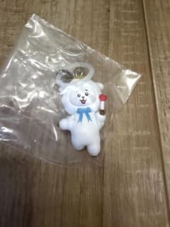 BT21 메지루시 매력 RJ