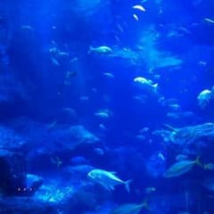 かめぽん様専用のサムネイル