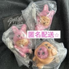 Stray Kids SKZOO つまんでつなげてますこっと vol.2 3点のサムネイル