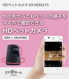 PanasonicホームネットワークカメラKX-HDN215-K ブラックのサムネイル