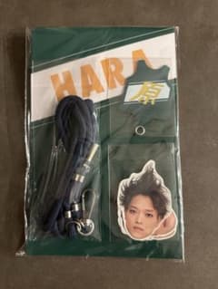 m56264179898_1.jpg?1756226309