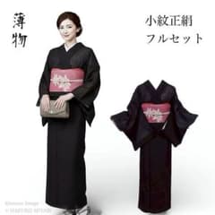 【夏着物】正絹 紗 小紋 フルセット 夏名古屋帯 黒 薄物　イＡ13