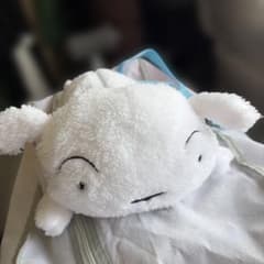 크레용 신짱 봉제인형 포셰트 시로
