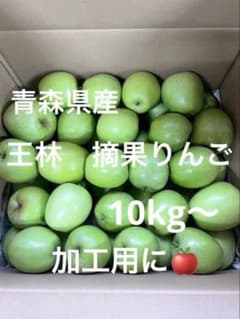青森　りんご　王林　摘果りんご　加工用　約10kg - 5