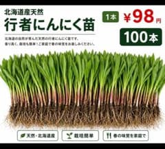 行者にんにく苗 100本 北海道産天然 根付き苗 - メルカリ
