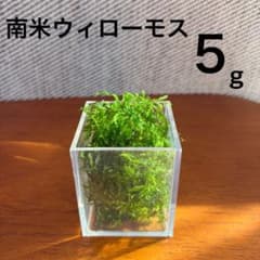 ジュゴン様 リクエスト 2点 まとめ商品のサムネイル