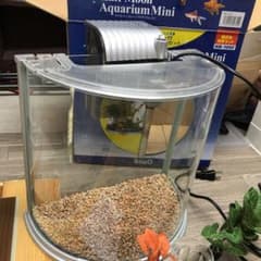 テトラ　ハーフムーンアクアリウム　水槽のサムネイル