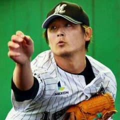 たつのり様専用のサムネイル