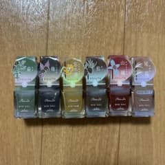 パラドゥ ミニネイル 6色セットのサムネイル